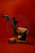 Foto Michelle Prado Transescort Lugano 392 8020175 - 29