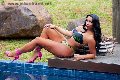 Foto Milla Dotata Trans Latina 393 2912055 - 21