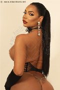 Foto Milla Dotata Trans Latina 393 2912055 - 2