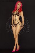 Foto Nady Trans Vicenza 333 8758341 - 142
