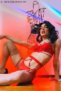 Foto Nicki Trans Cosenza 350 8099945 - 8