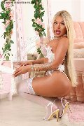 Foto Nicoly Trans Bruxelles 329 3358987 - 14