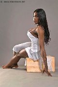 Foto Nimat Trans Roma 351 9905819 - 6