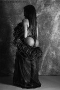 Foto Nimat Trans Roma 351 9905819 - 12