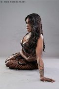 Foto Nimat Trans Roma 351 9905819 - 4