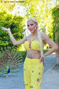 Foto Nina La Divina Transescort Ibiza 0034 617911341 - 4
