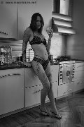Foto Nyx Trans Milano 329 5371331 - 30