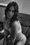 Foto Nyx Trans Milano 329 5371331 - 37