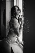 Foto Nyx Trans Milano 329 5371331 - 40