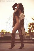 Foto Paula Bituschini Trans Milano 389 8857998 - 143