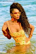 Foto Paula Xxl Trans Cannes 376 2961336 - 108