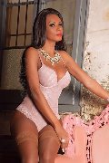 Foto Paula Xxl Trans Cannes 376 2961336 - 159