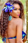 Foto Paula Xxl Trans Cannes 376 2961336 - 40