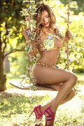 Foto Rayca Trans San Gallo 348 5638746 - 281