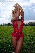 Foto Rebecca Ferraz Pornostar Trans Roma 349 4107593 - 308