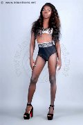 Foto Safira Snt'z  Trans Alba Adriatica 327 8243596 - 46