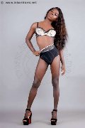 Foto Safira Sant'z  Transescort Alba Adriatica 327 8243596 - 47