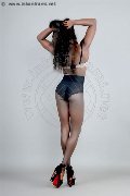 Foto Safira Sant'z  Transescort Alba Adriatica 327 8243596 - 49