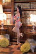 Foto Sammi Asiatica Trans Milano 392 6226622 - 30