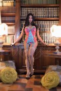 Foto Sammi Asiatica Trans Milano 392 6226622 - 28