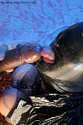  Mistress Trans Catadeya 338 79 05 590 foto selfie 1