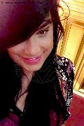 Bordighera Trav Danny Xl 351 12 50 360 foto selfie 2