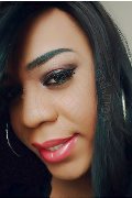 Lodi Trans Dryka 371 19 43 155 foto selfie 7