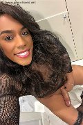 Lodi Trans Dryka 371 19 43 155 foto selfie 12