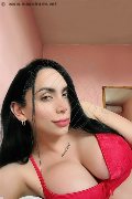 Vigevano Trans Escort Iris Hot 388 05 53 281 foto selfie 10