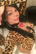 Genova Trans Escort Mabela 320 82 98 229 foto selfie 15