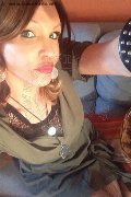 Treviso Trans Valeria 338 87 18 849 foto selfie 730