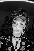 Treviso Trans Valeria 338 87 18 849 foto selfie 588