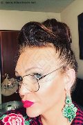 Treviso Trans Valeria 338 87 18 849 foto selfie 616