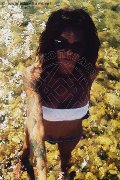 Treviso Trans Valeria 338 87 18 849 foto selfie 956