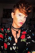 Treviso Trans Valeria 338 87 18 849 foto selfie 645