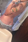 Treviso Trans Valeria 338 87 18 849 foto selfie 1039