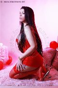 Foto Sophie Vergara Trans Forl� 351 6700925 - 1
