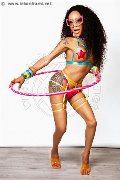 Foto Tamisca Safada Trans Legnano 327 0654407 - 1