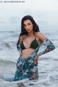 Foto Vanessa Hilton Trans Modena 324 5846577 - 113