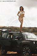 Foto Vanessa Hilton Trans Vicenza 324 5846577 - 110