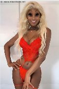 Foto Virna La Super Dotata Transescort Milano 349 4393969 - 2