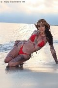 Foto Bruninha Trans Avellino 350 8578851 - 31