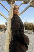 Foto Brunna Campanaro Transescort Imola 350 9335566 - 1