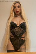 Foto Brunna Campanaro Transescort Imola 350 9335566 - 24