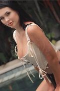 Foto Dahlia Girl Lodi 351 2104889 - 8