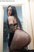 Foto Genesis Trans Isernia 333 2314246 - 6
