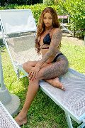 Foto Hillary Brasiliana Trans Bologna 338 4136322 - 44