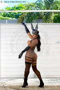 Foto Hillary Brasiliana Trans Bologna 338 4136322 - 76