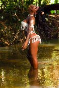 Foto Hillary Brasiliana Trans Bologna 338 4136322 - 97