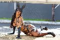 Foto Hillary Brasiliana Trans Bologna 338 4136322 - 78